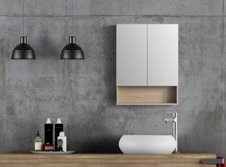 How to Choose a Mirror Cabinet in NZ for Your Home